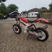 Suzuki Street magic