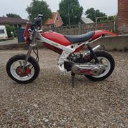 Suzuki Street magic