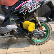 PGO Pmx sport moped warriors