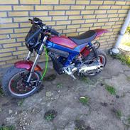 Suzuki Street/rox