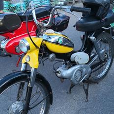 Puch MS 50 