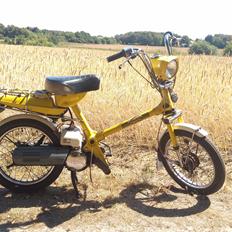 Honda EXPRESS (Til Samlingen)