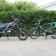 Apollo Orion   36 RX Xtreme