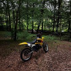 Suzuki rmx