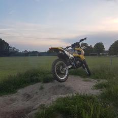 Suzuki rmx