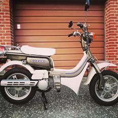 Suzuki FZ50
