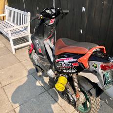 PGO Pmx sport moped warriors [SOLGT]