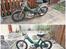 Puch Maxi Pedal 