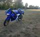 Yamaha TZR 50 (45 Knallert)