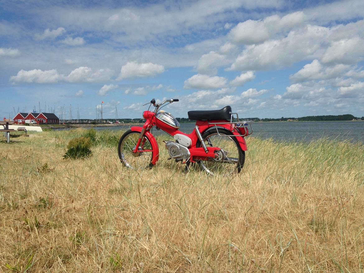 Puch Ms50 3gear billede 7