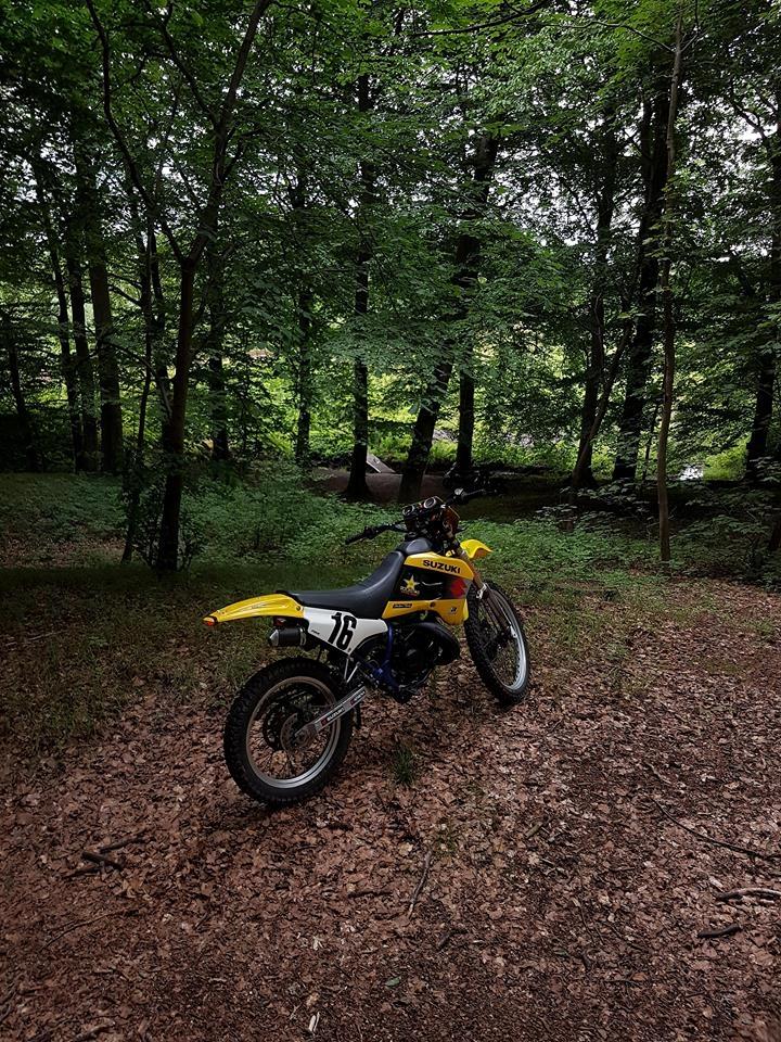 Suzuki rmx billede 2
