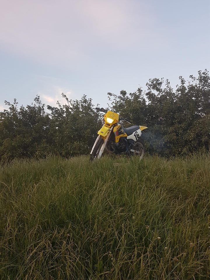 Suzuki rmx billede 4