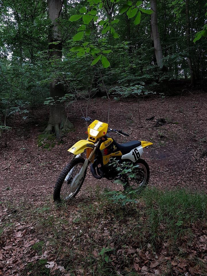 Suzuki rmx billede 5