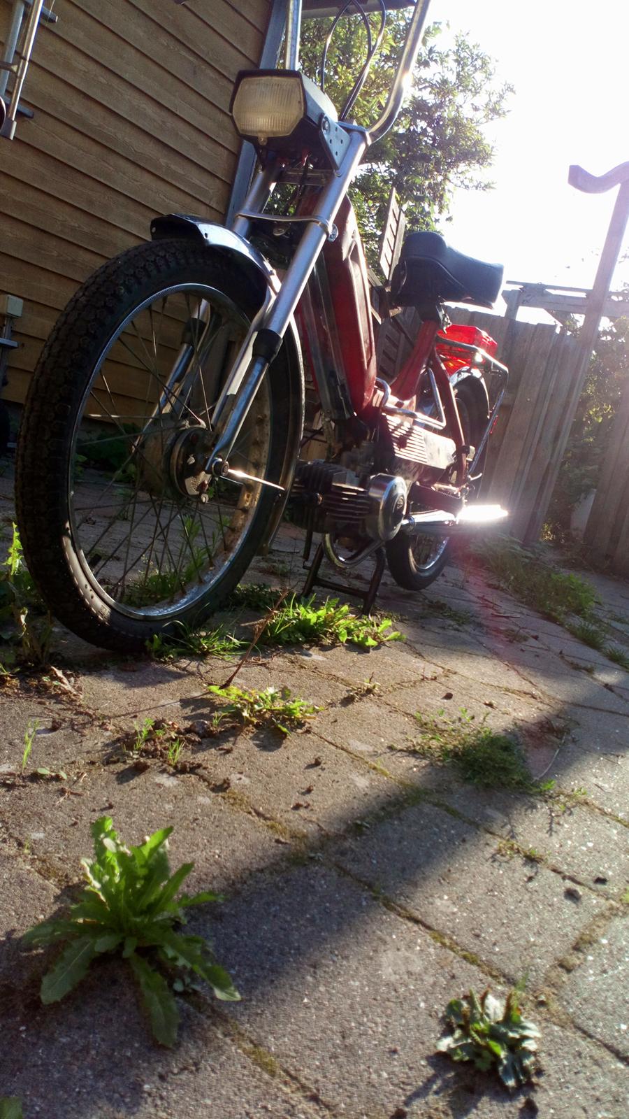 Puch Maxi k billede 4
