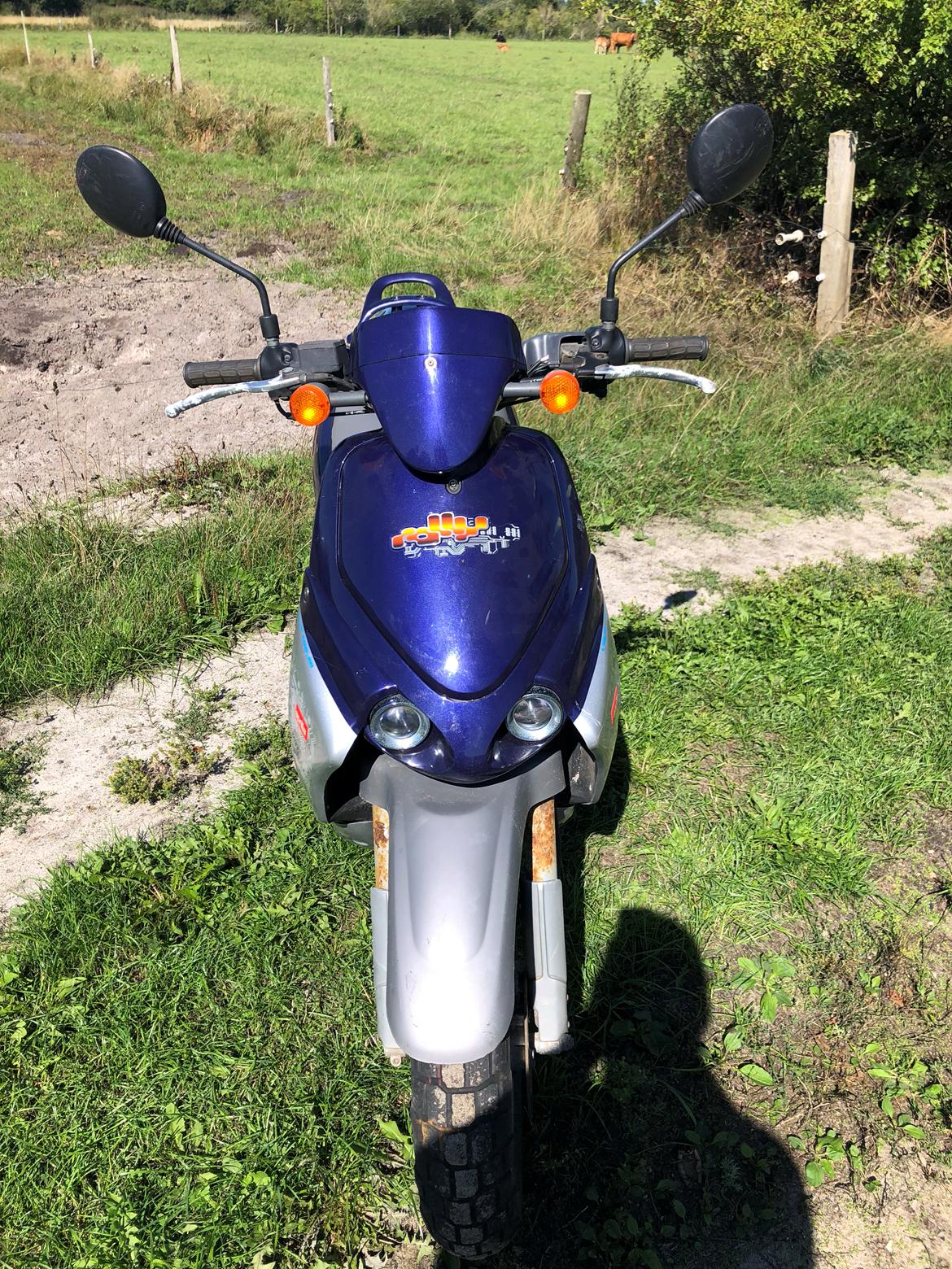 Aprilia Rally LC billede 6