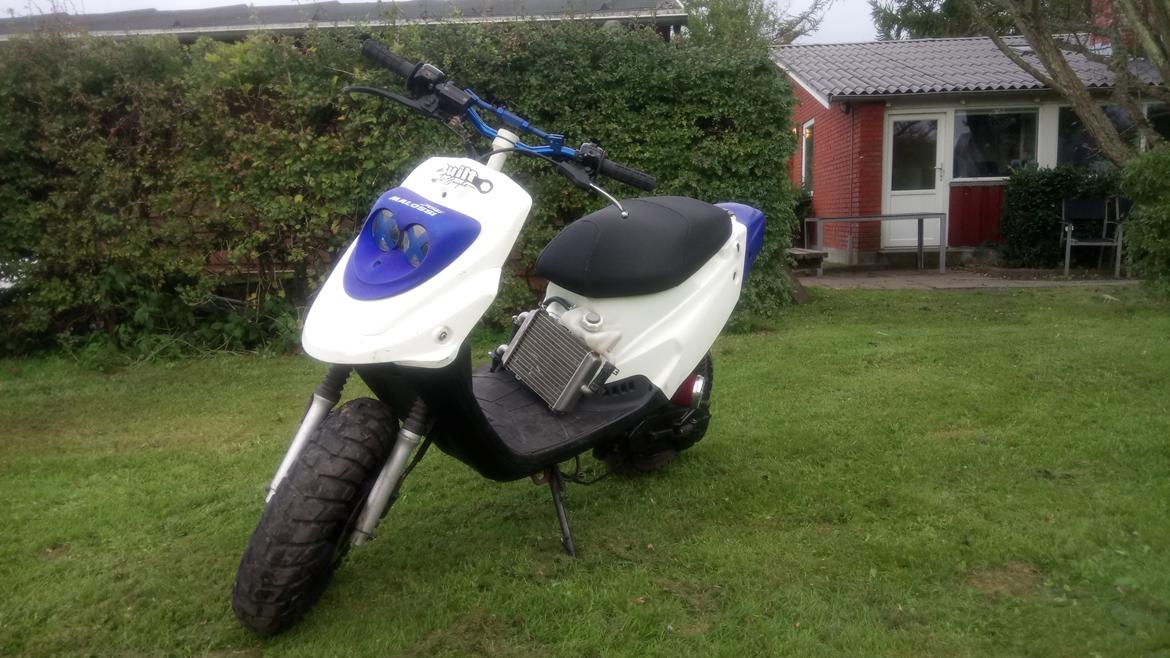 PGO Hot 50 LC  billede 5