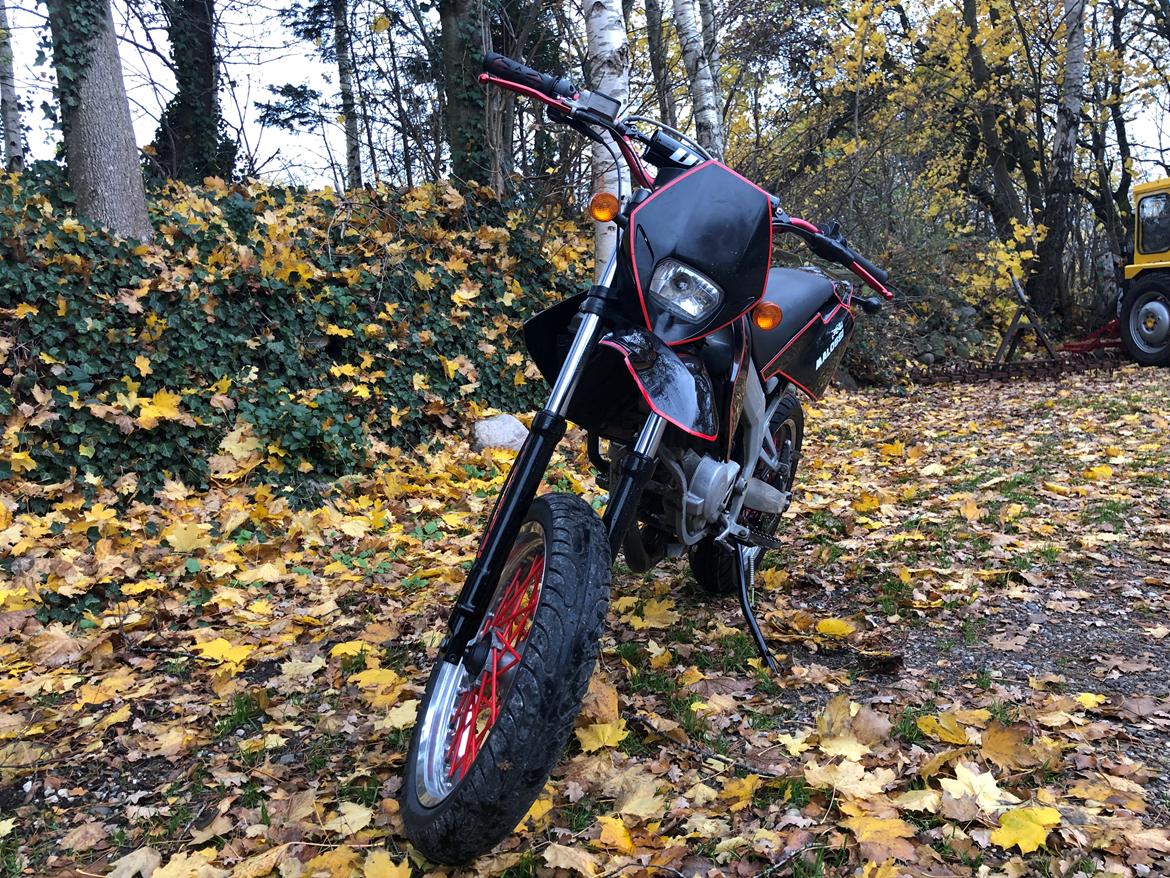 Gilera Rcr 50 billede 5