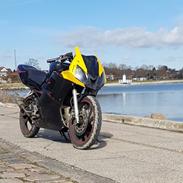 Yamaha TZR 50 (Stjålet af popo)