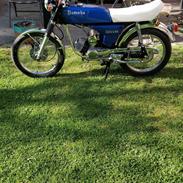 Yamaha FS1