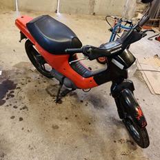 Honda Wallaroo