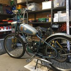 Veteraner Lion luxus (custom)