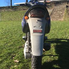 Beta Ark Lc (Betina)