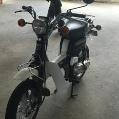 Suzuki Fz50