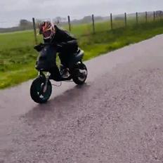 Piaggio Old zip LC DD