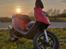 PGO Hot 50 (Tidl. Scooter) 