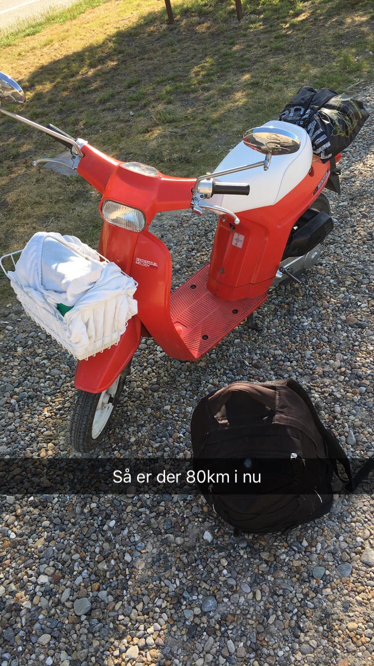 Honda Melody Mini (NT50) - Billede fra tur i sommers på 350km ca billede 4