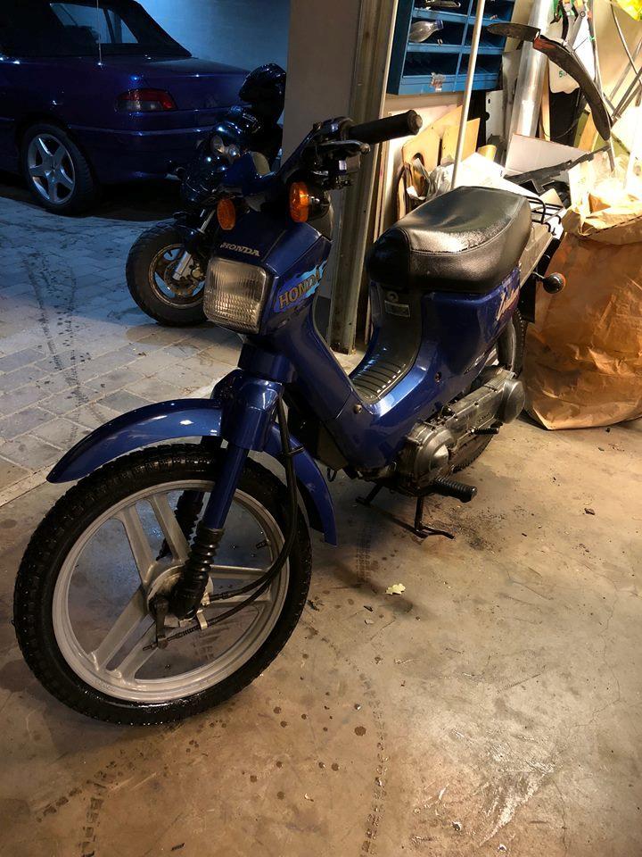 Honda walllaroo billede 1