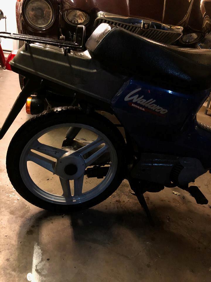 Honda walllaroo billede 2