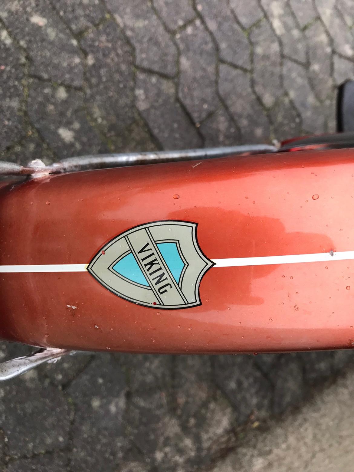 Veteraner Viking billede 3