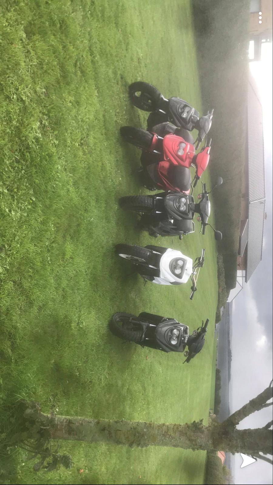 PGO Hot 50 billede 15