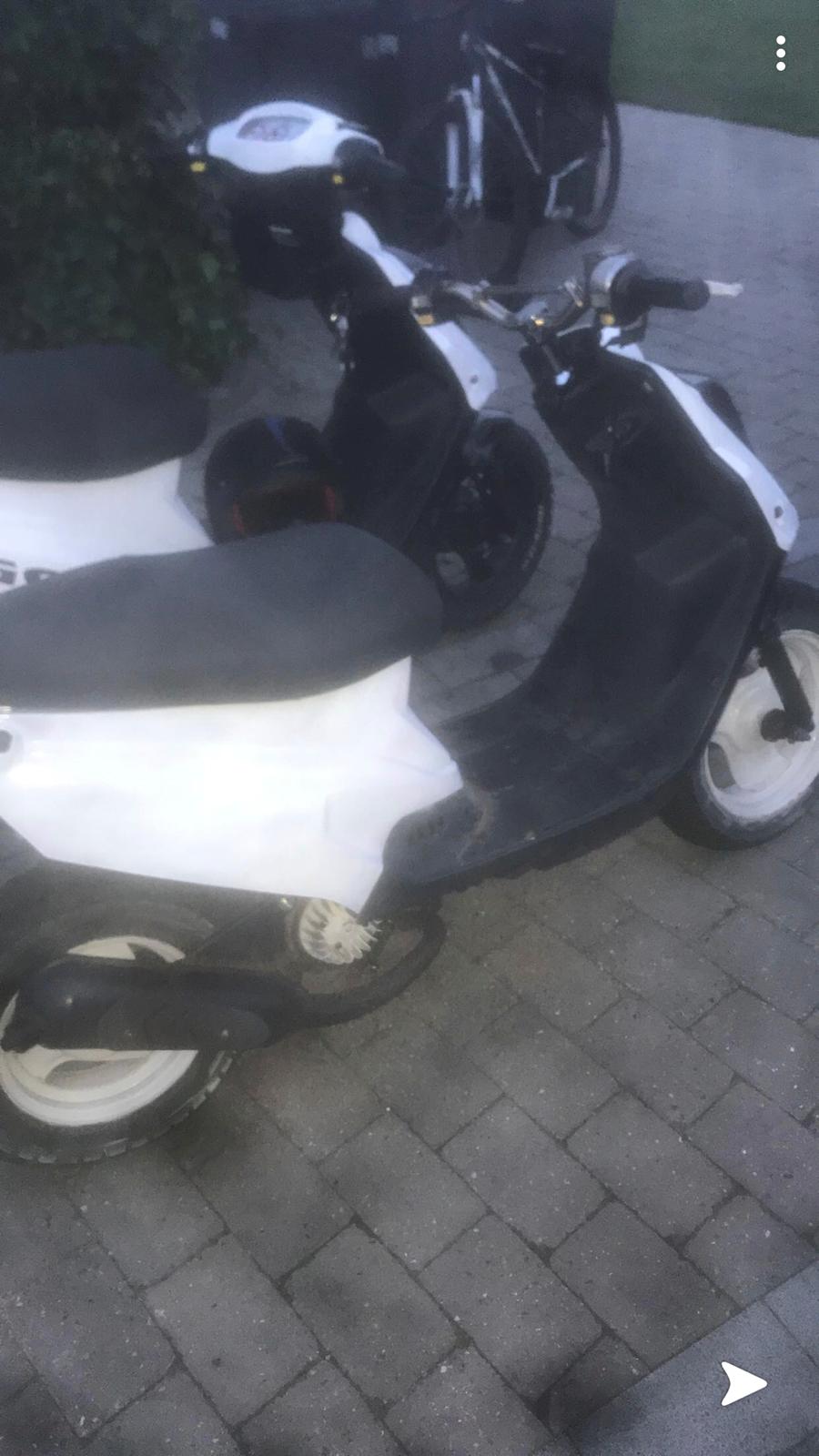 PGO Hot 50 billede 16