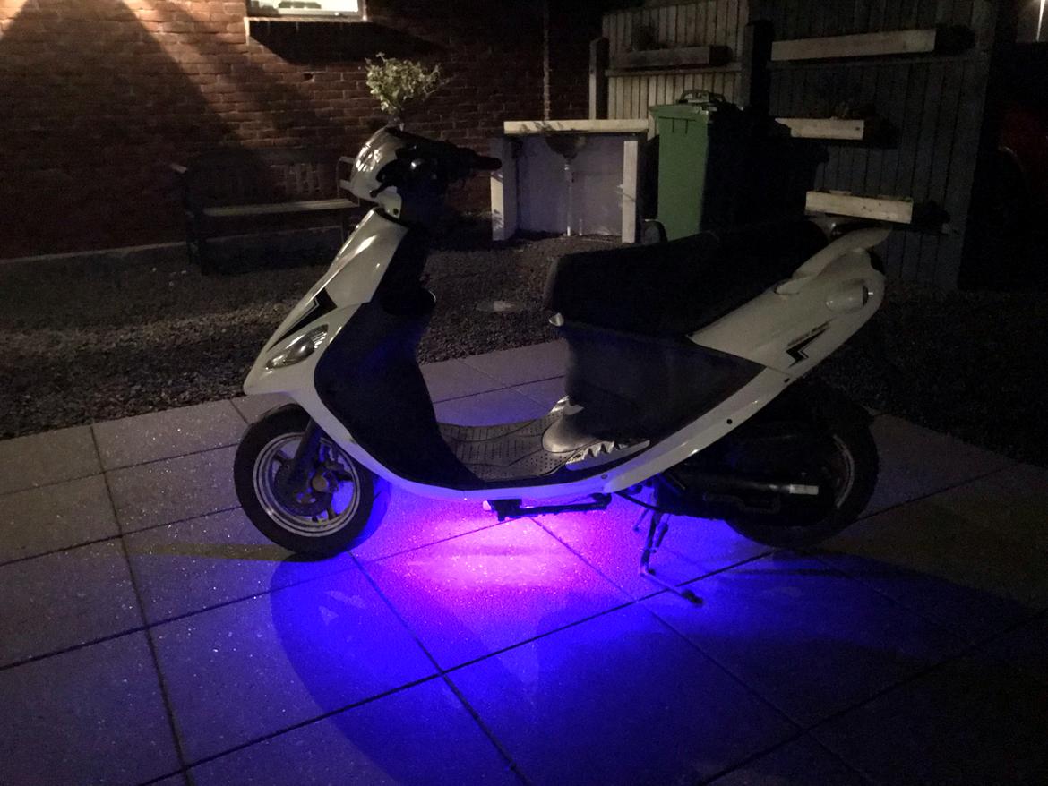 PGO White Magic billede 2