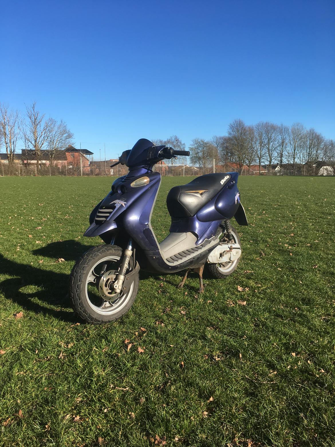 Beta Ark Lc (Betina) billede 1