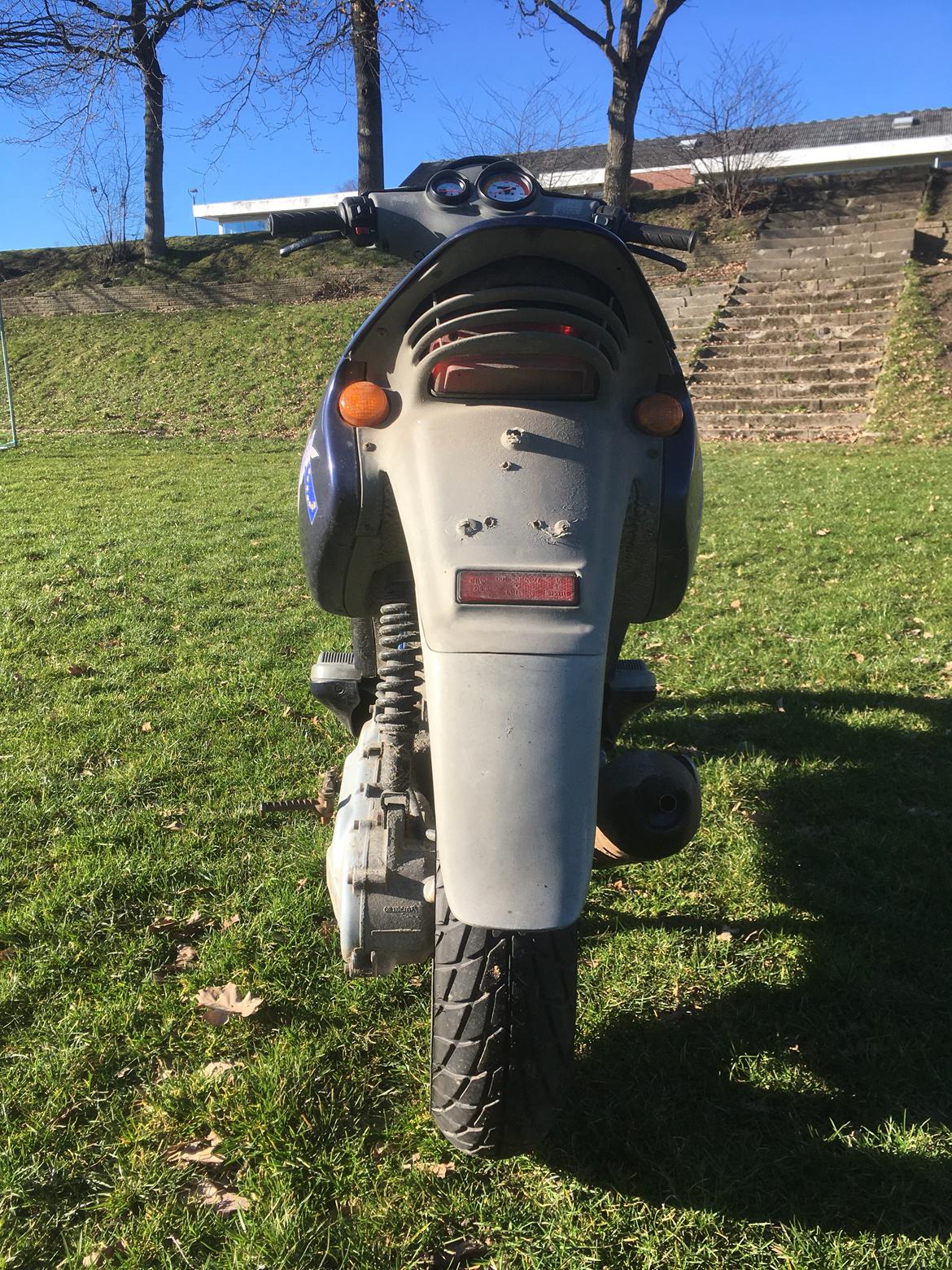 Beta Ark Lc (Betina) billede 3