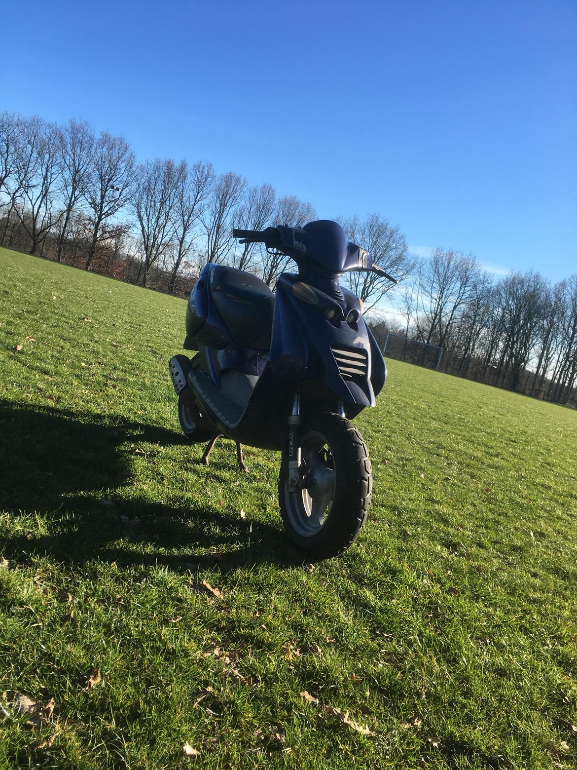 Beta Ark Lc (Betina) billede 7