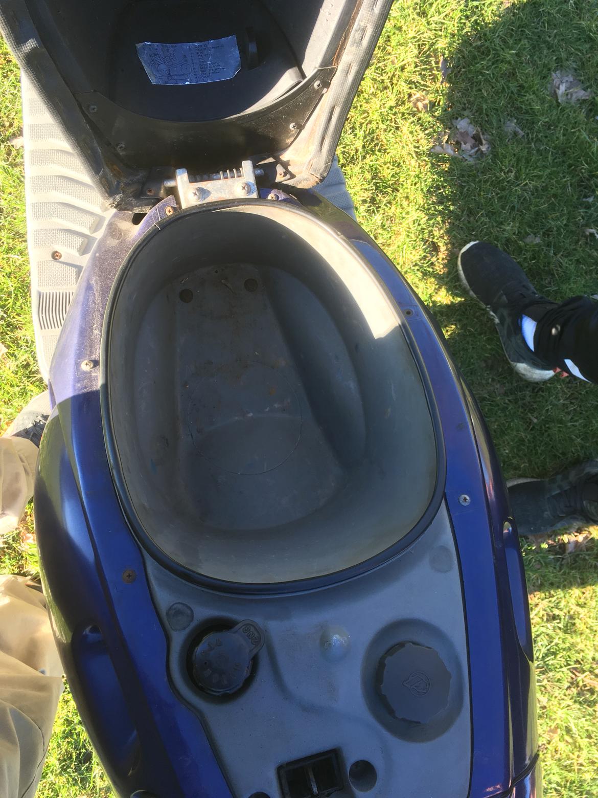 Beta Ark Lc (Betina) billede 10