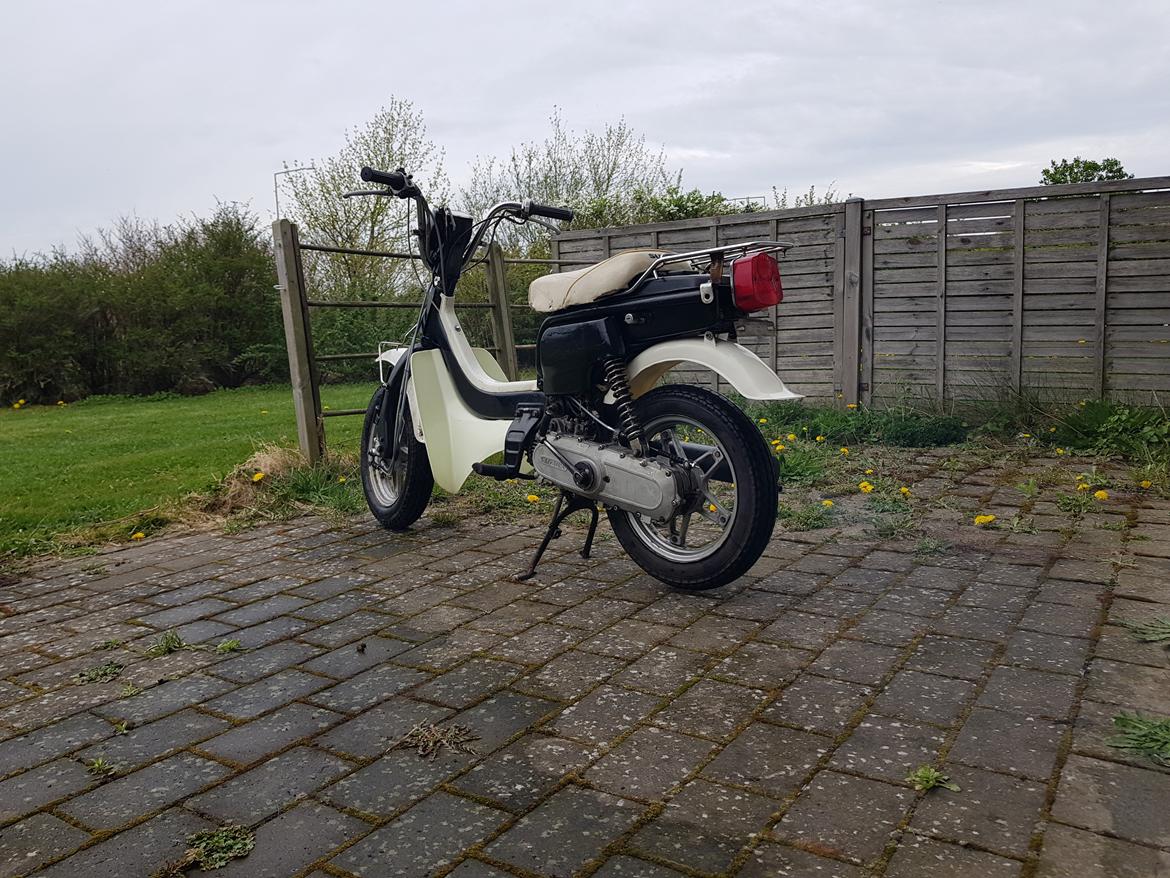 Suzuki Fz50 (Øffe) SOLGT  billede 1