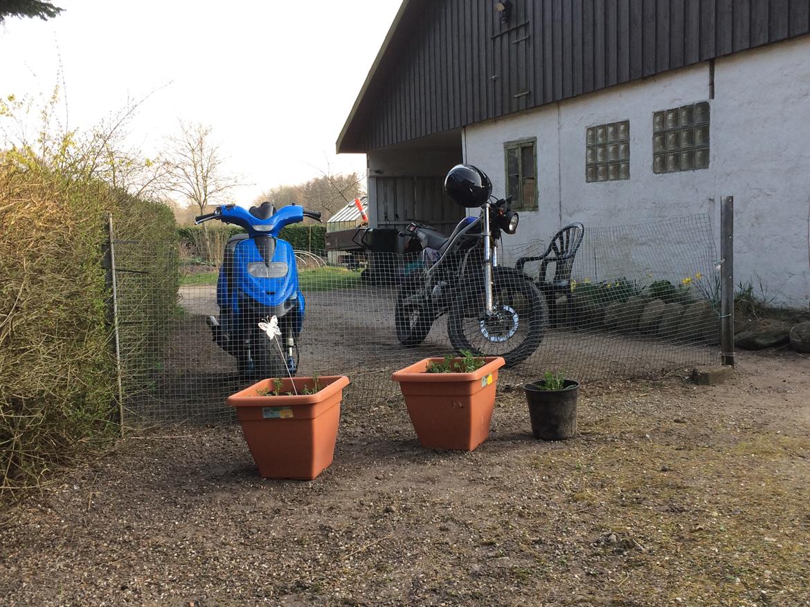 Gilera Stalker billede 8