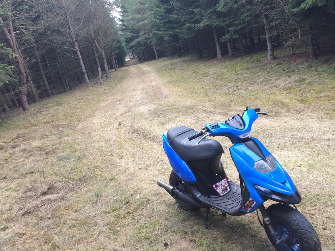 Gilera Stalker billede 10