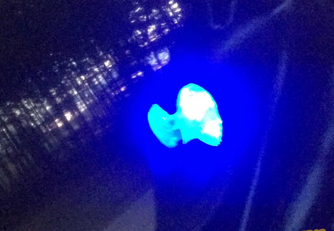 PGO Hot 50 |SOLGT| billede 11