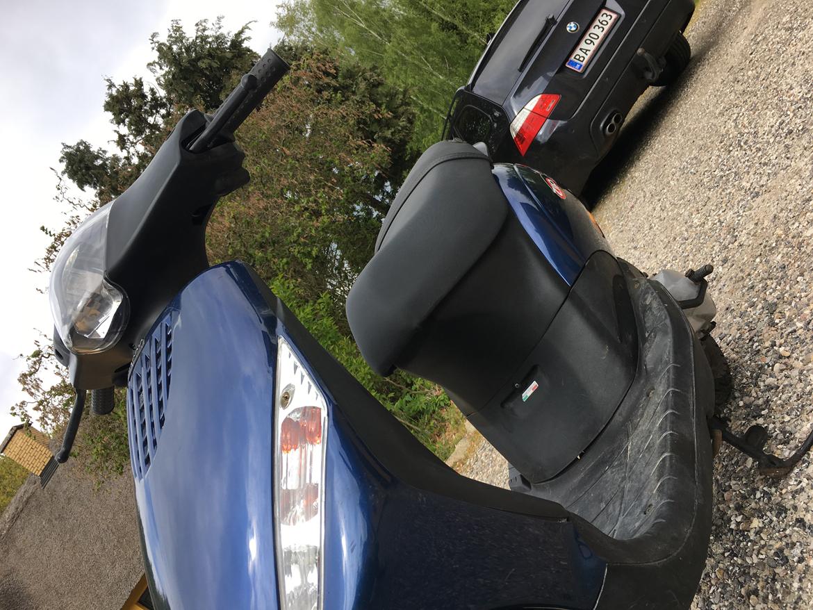 Piaggio New zip billede 1