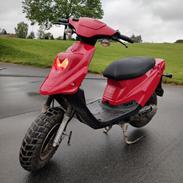 PGO Hot 50