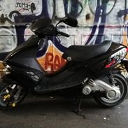 Benelli 491GT