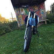 Suzuki Rmx