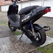 PGO Hot 50