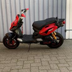 PGO Pmx Naked
